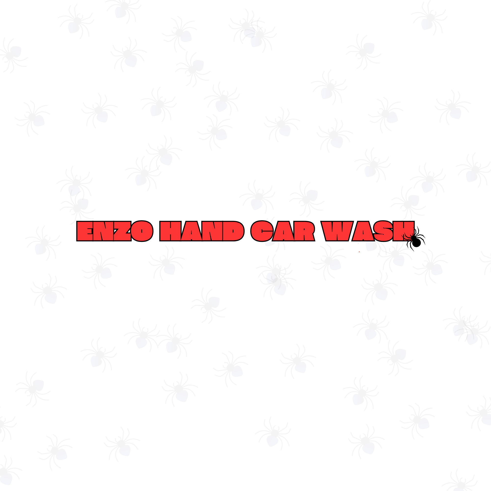 Enzo Hand Car Wash Website — Buggsol Project